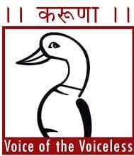Karuna — Voice of the Voiceless